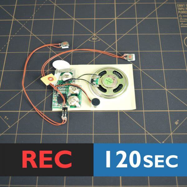 120-second recordable voice module with push button