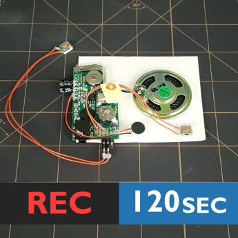 Recordable sound module with line-in port